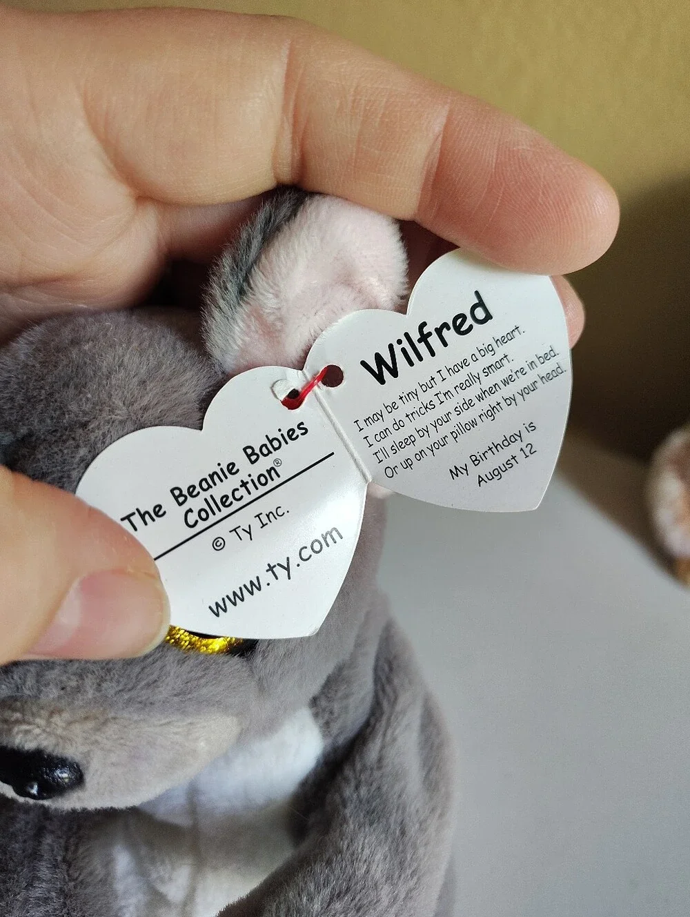 Ty Beanie Bellies Lot of 4 Wilfred Wolf Bumper Hedgehog Stubby Monkey Mitch +